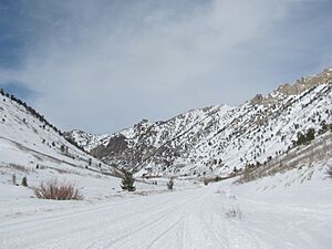 A Snowy Lamoille Canyon