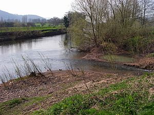 Abergavenny - geograph.org.uk - 384693