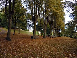 Aldershot Municipal Gardens