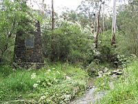 Andersons Creek Gold Memorial