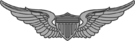 ArmyAvnBadge.png