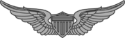 ArmyAvnBadge.png