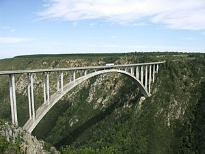 Bloukrans Bridge-001.jpg