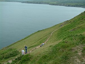 Coast Path near Dinas Head - geograph.org.uk - 415815