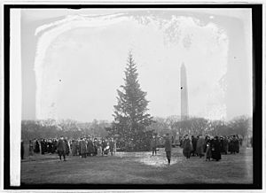 Community Christmas tree, 12-24-23 LCCN2016848489