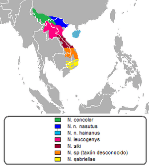 Distribución nomascus.png