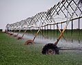 Farm in west texas Nima