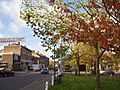 Harpenden High Street 2