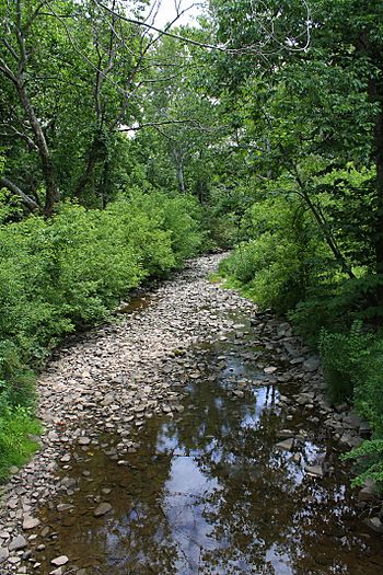 Horton Creek looking downstream.jpg