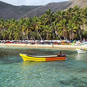 Lancheros de Bahia de Cata.