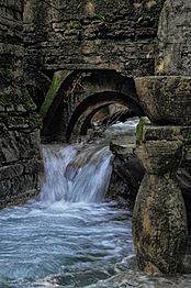 Las Pozas, Xilitla (7344211394)