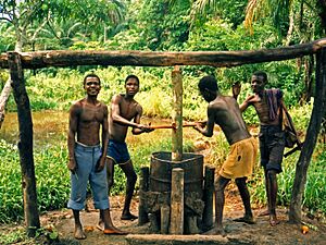 Making palm oil, DR Congo