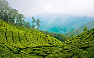 Munnar Top station