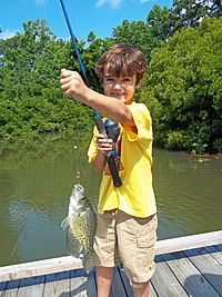 Nice Crappie (7335780206)