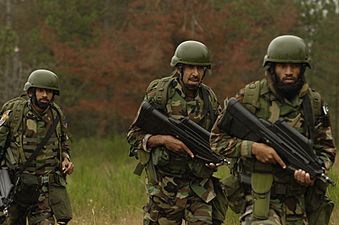 Pakistan Air Forces's Special Service Wing in its current Camouflage.