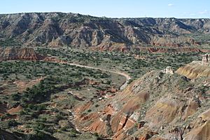 Palo Duro 2002