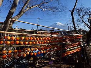 Persimmon drying in Fujinomiya,Shizuoka,Japan(吊るし柿白糸の滝下流) DSCF0017