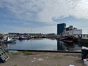 Peterhead North Harbour.jpg