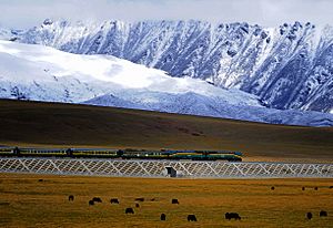 Qingzang railway Train 01.jpg