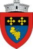 Coat of arms of Udești