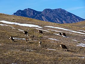 Rocky Flats NWR.JPG