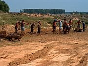 RomaniaDanubeDelta MakingMaterialForCOnstructing0003jpg