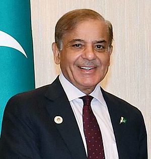 Shahbaz Sharif in 2022 (cropped).jpg