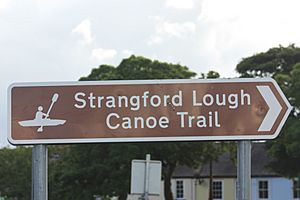 Strangford (16), August 2009