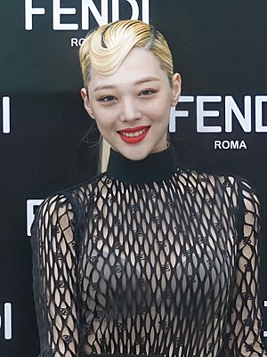 Sulli-2019 (derived).jpg