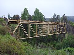 THE PHOENIX BRIDGE CO Rio Rehue 2