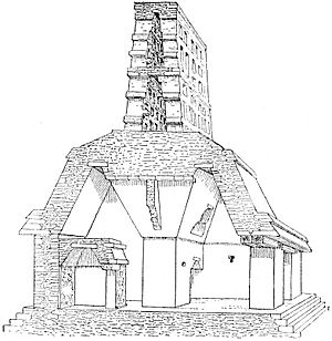 The American Indian Fig 50