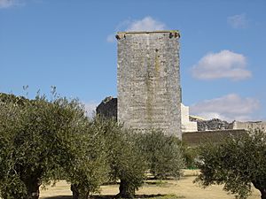 Torreon de Estepa