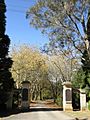 Victory gates, Leura