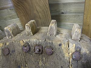 Wallower gearwheel, Rottingdean mill