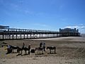 WestonPier