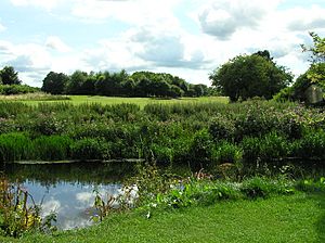 Wfm pollok country park.jpg