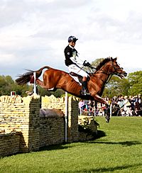 William Fox-Pitt on Chilli Morning at Badminton 2015.JPG