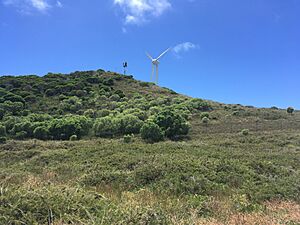 Wind turbine on Rottnest Island