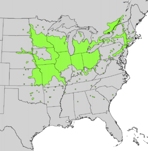 Zanthoxylum americanum range map.png