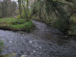 Baldwin river isle of man