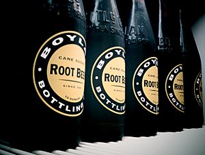 Boylan Root Beer - Racinette.jpg