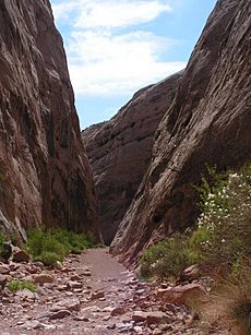 CapitolGorgeCapitolReefNP