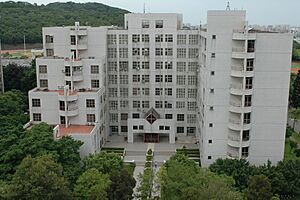 College of CS&EE