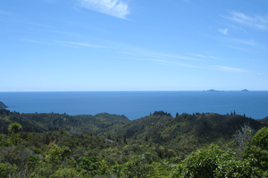 Coromandel01