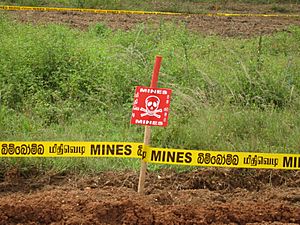 DANGER MINES