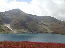 Dudipatsar view with flowers