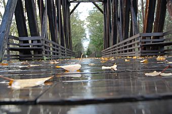 Dungeness River Bridge 2.jpg