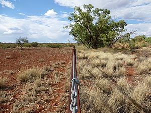 Fence line gradient - camel control