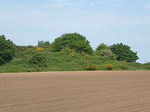 Grimston Warren Pit 1.jpg