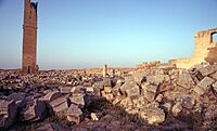 Harran Great Mosque 189